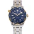 blue and stick dot dial of the Omega Master Gold Replica