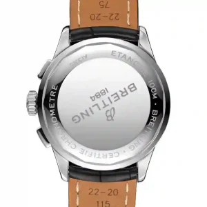 case view of the watch