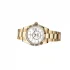 yellow gold all case of the Rolex Sky-Dweller Yellow Gold Fluted Bezel Replica