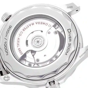 mechanism of the watch