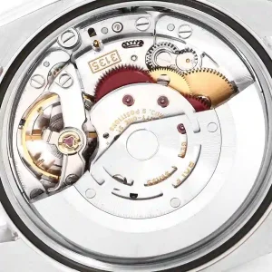 mechanism of the watch