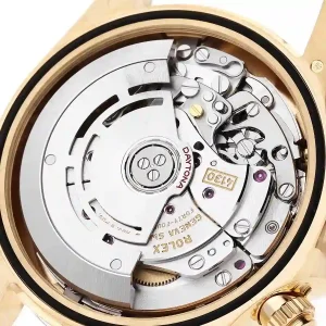 mechanism of the watch