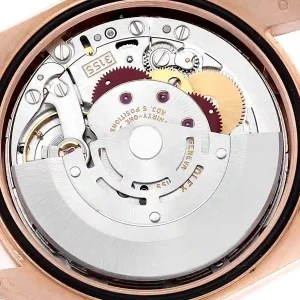 Mechanism of the watch