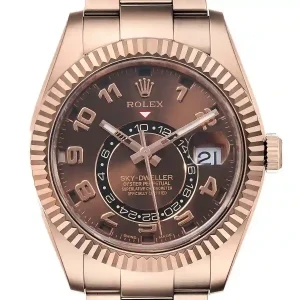 Brown Dial of the watch