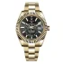 Rolex Sky-Dweller Gold Replica