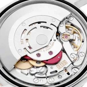 Mechanism view of the watch