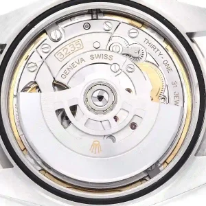 Mechanism view of the watch