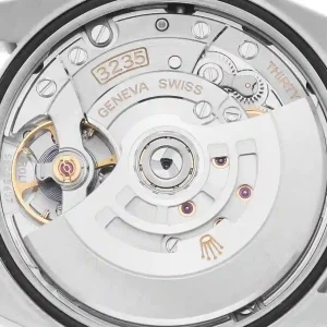 Mechanism view of the watch