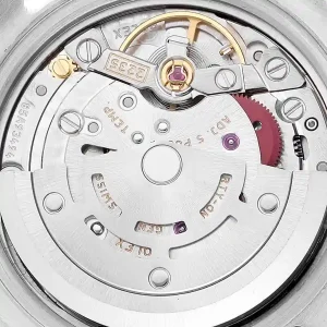 Mechanism of the watch