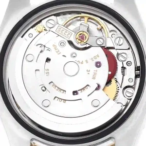 Mechanism of the watch