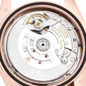 mechanism of the watch