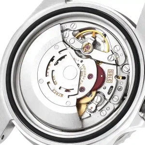 Mechanism view of the watch