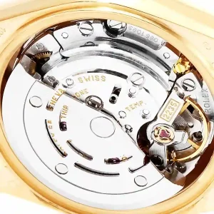 Mechanism view of the watch