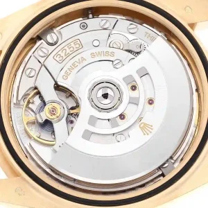 mechanism of the watch