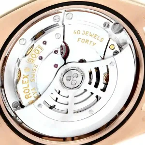 Mechanism of the watch