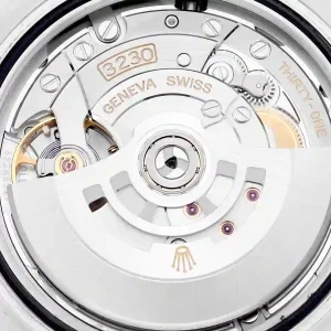 Mechanism view of the watch